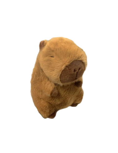 CAPYBARA ΛΟΥΤΡΙΝΟ